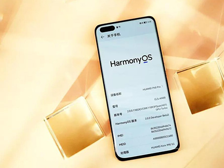 ×ðʱ¿Áú-Öйú¹Ù·½ÍøÕ¾